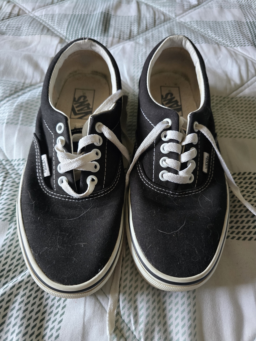 Vans Black Canvas Low-Top Sneakers with White Laces